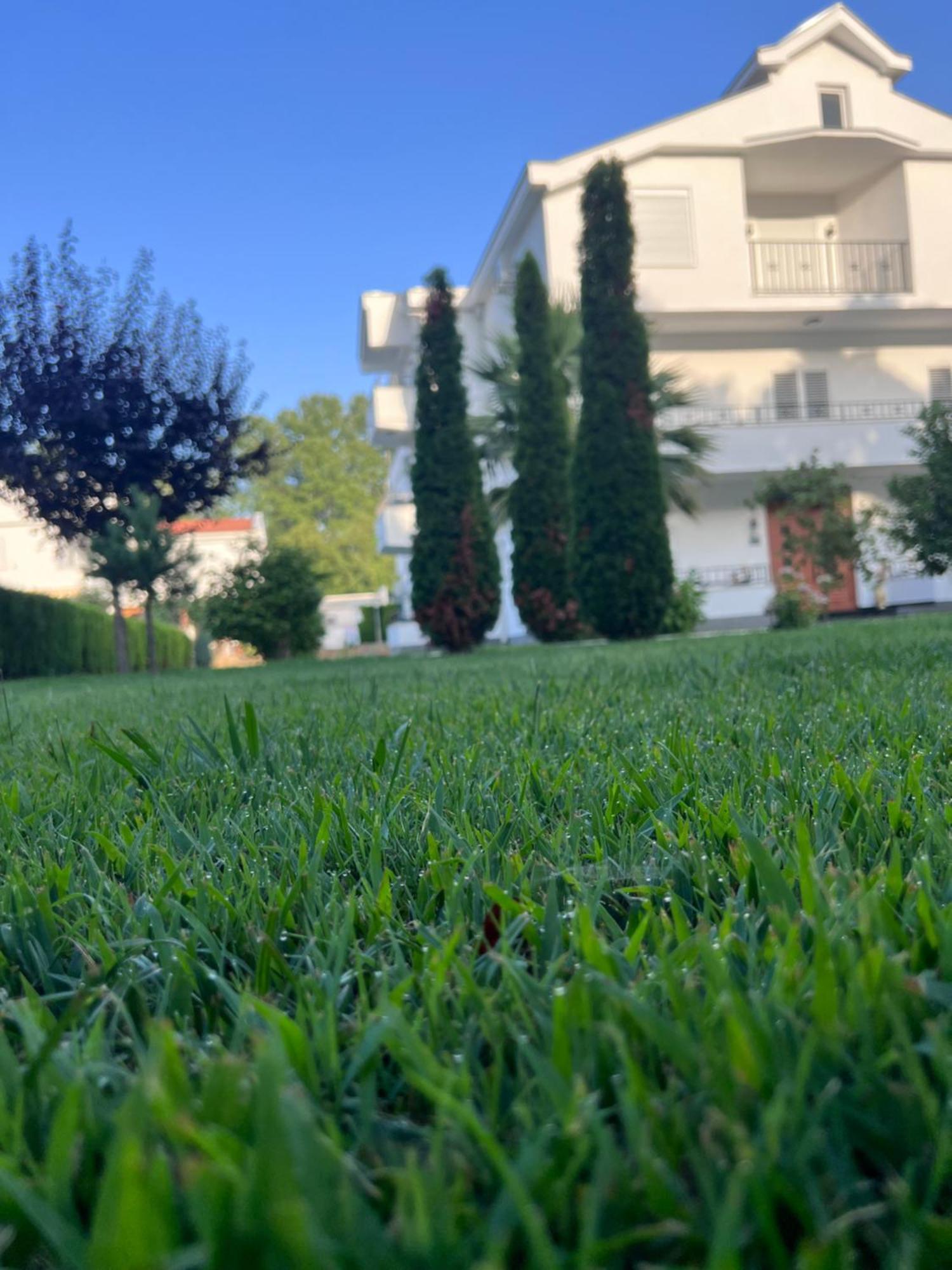 Residence Leora Ulcinj Zewnętrze zdjęcie