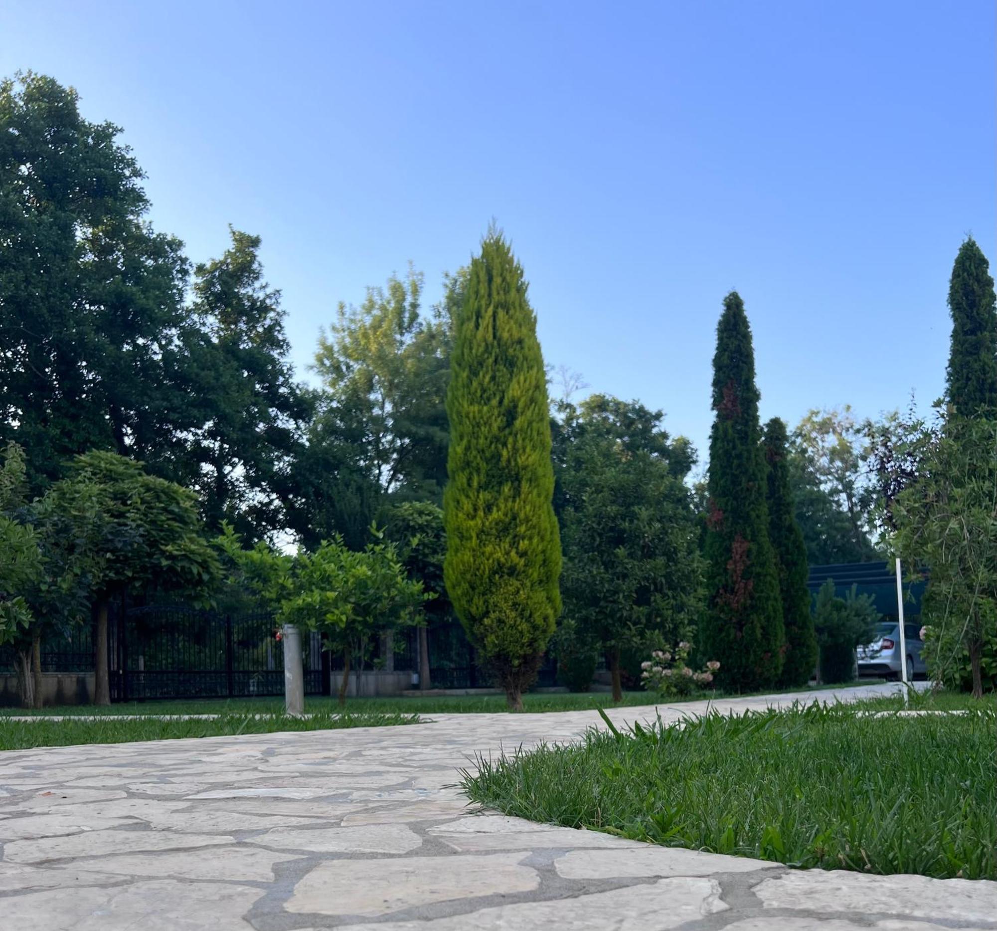 Residence Leora Ulcinj Zewnętrze zdjęcie
